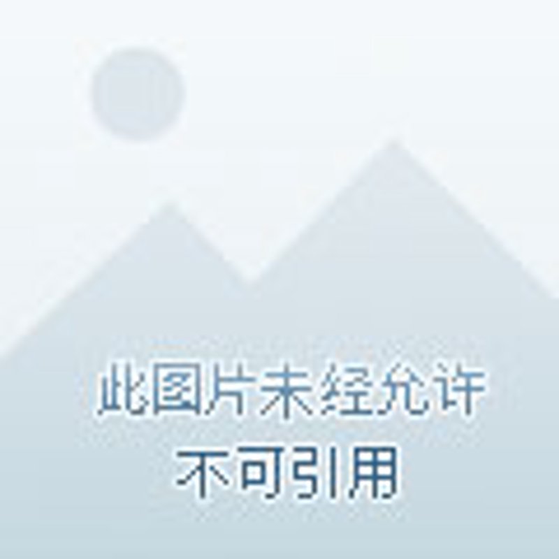钟表配件挑选全攻略:从新手到行家的进化